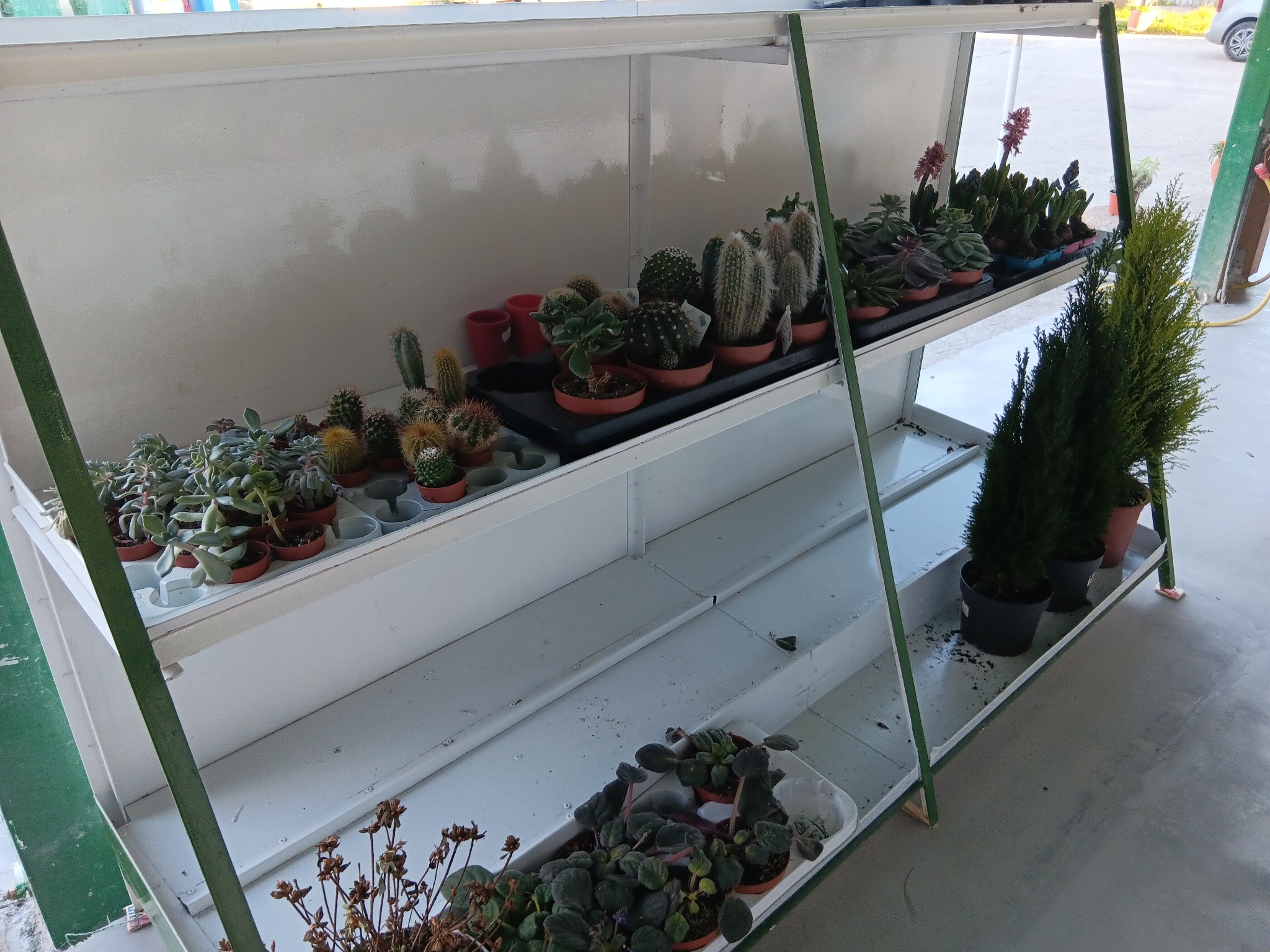 Λαχανικά & σαλάτες